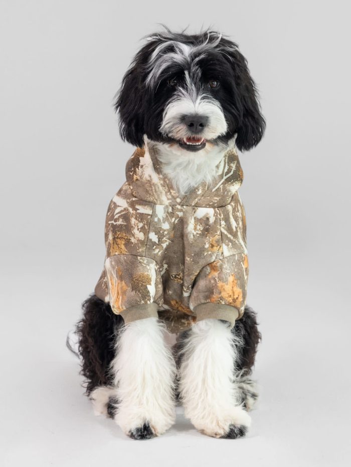 The Camo Paw Hoodie: undefined